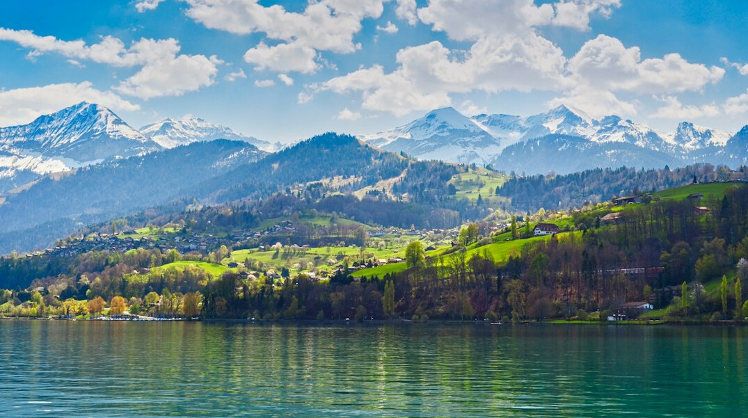 swiss landscape business
